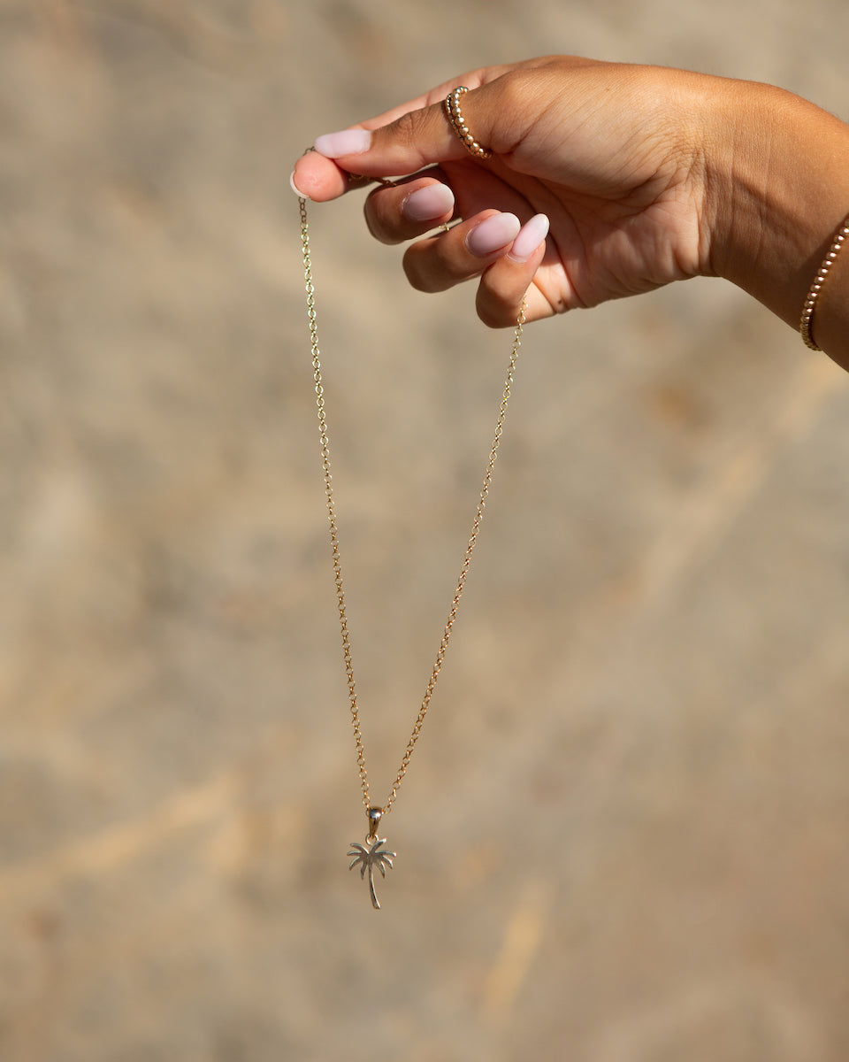 Palm Charm