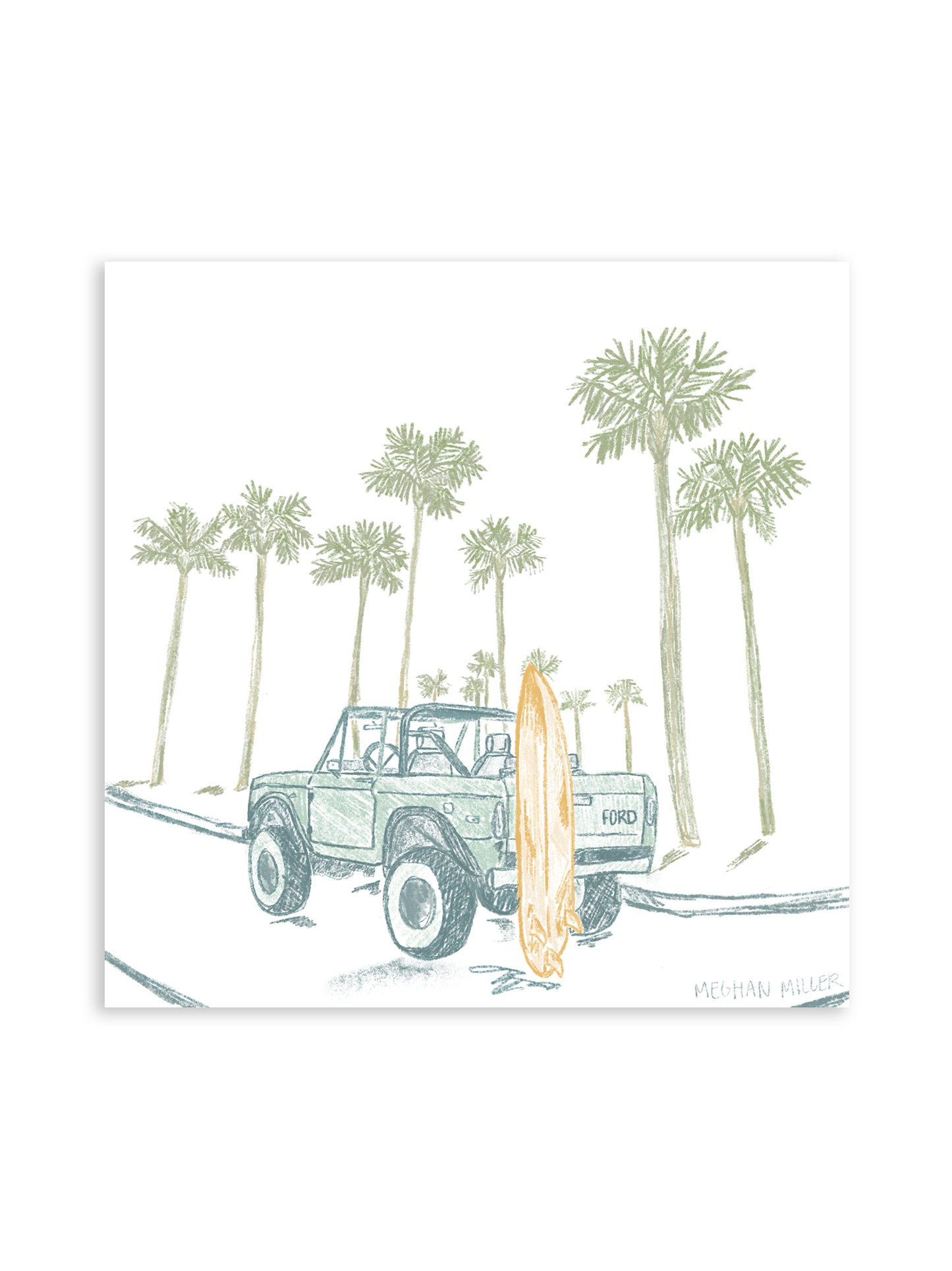 SUMMER BRONCO