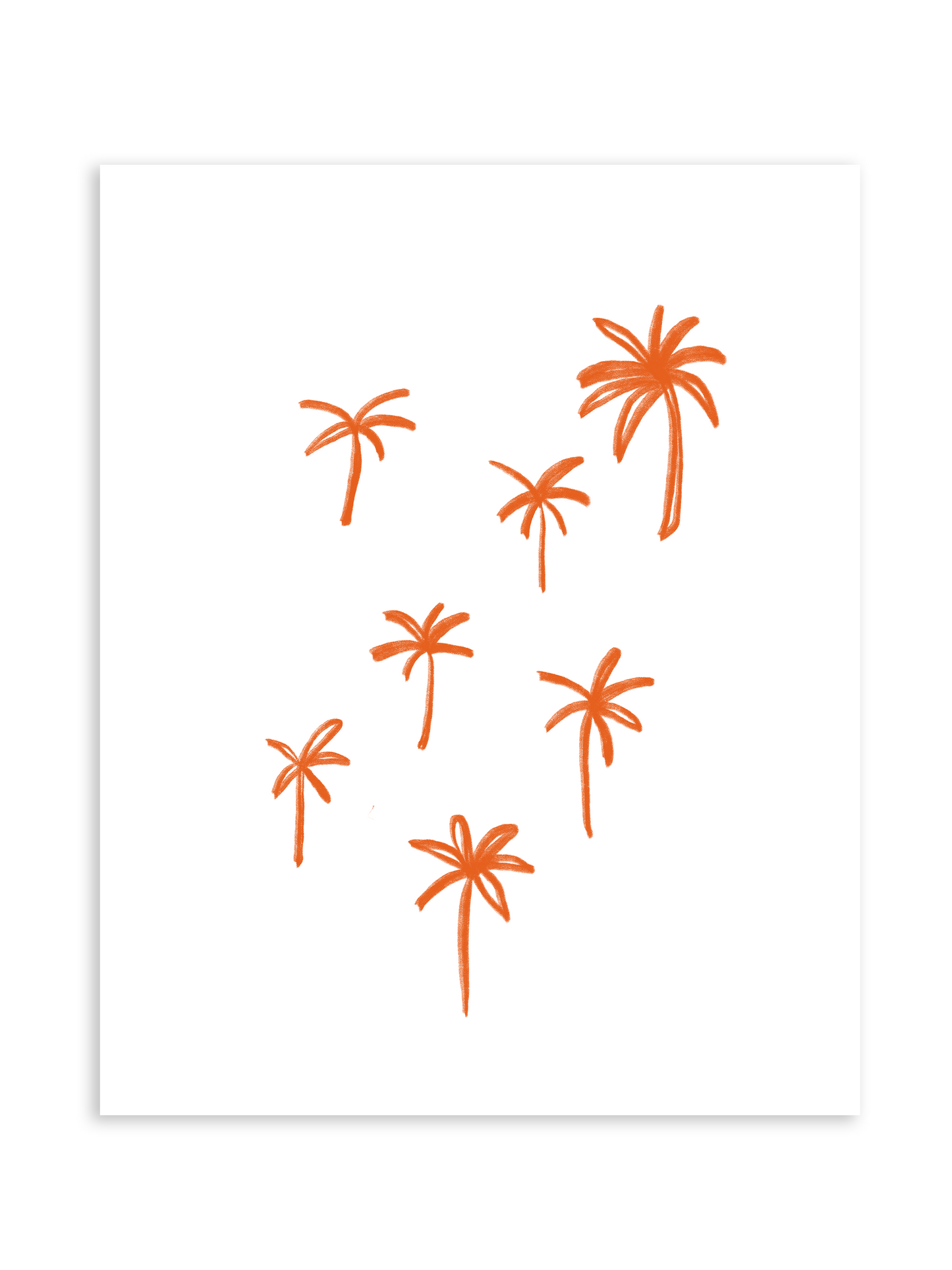 TANGERINE PALM STUDY