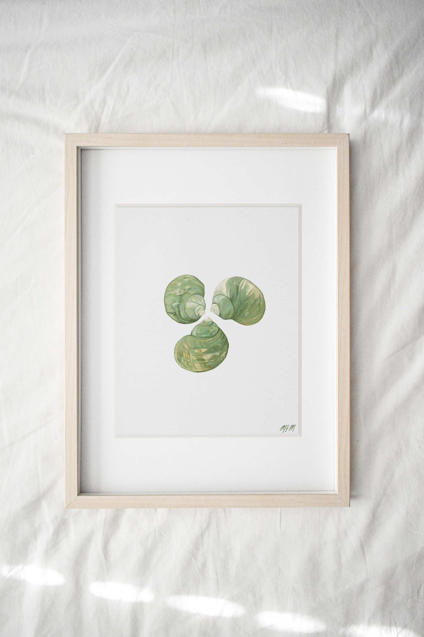 EMERALD SHELL STUDY
