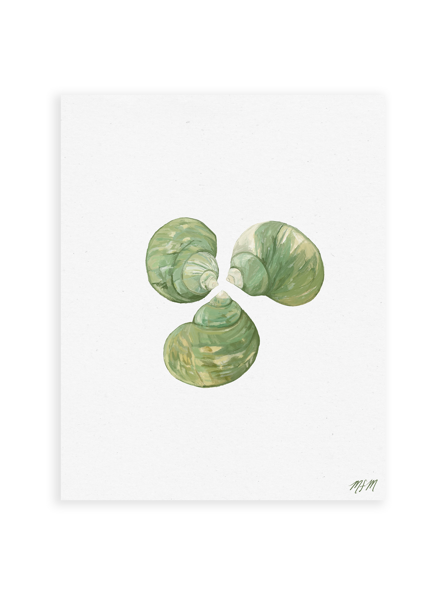 EMERALD SHELL STUDY